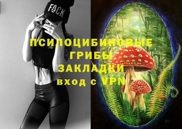 а пвп мука Белокуриха